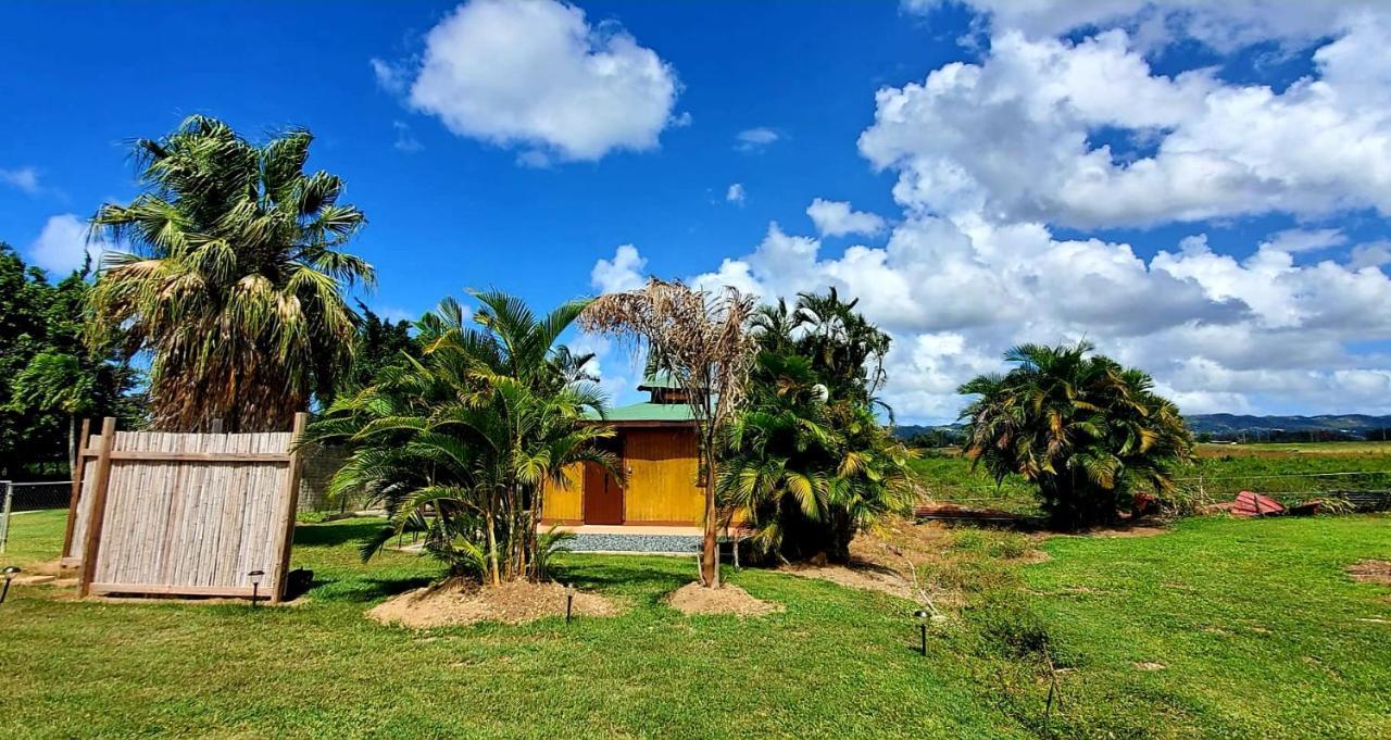 Hotel Ariami Rose à Aguada Extérieur photo