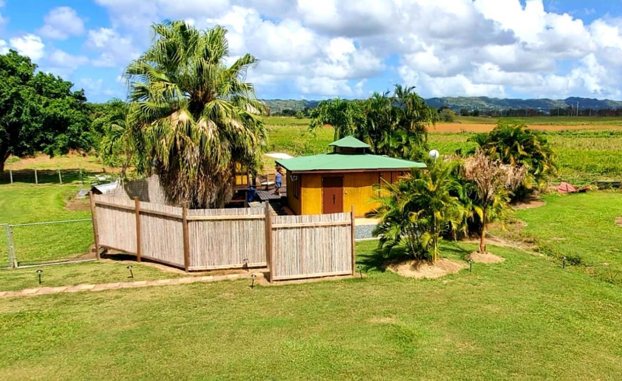 Hotel Ariami Rose à Aguada Extérieur photo